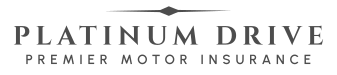 Platinum Icon